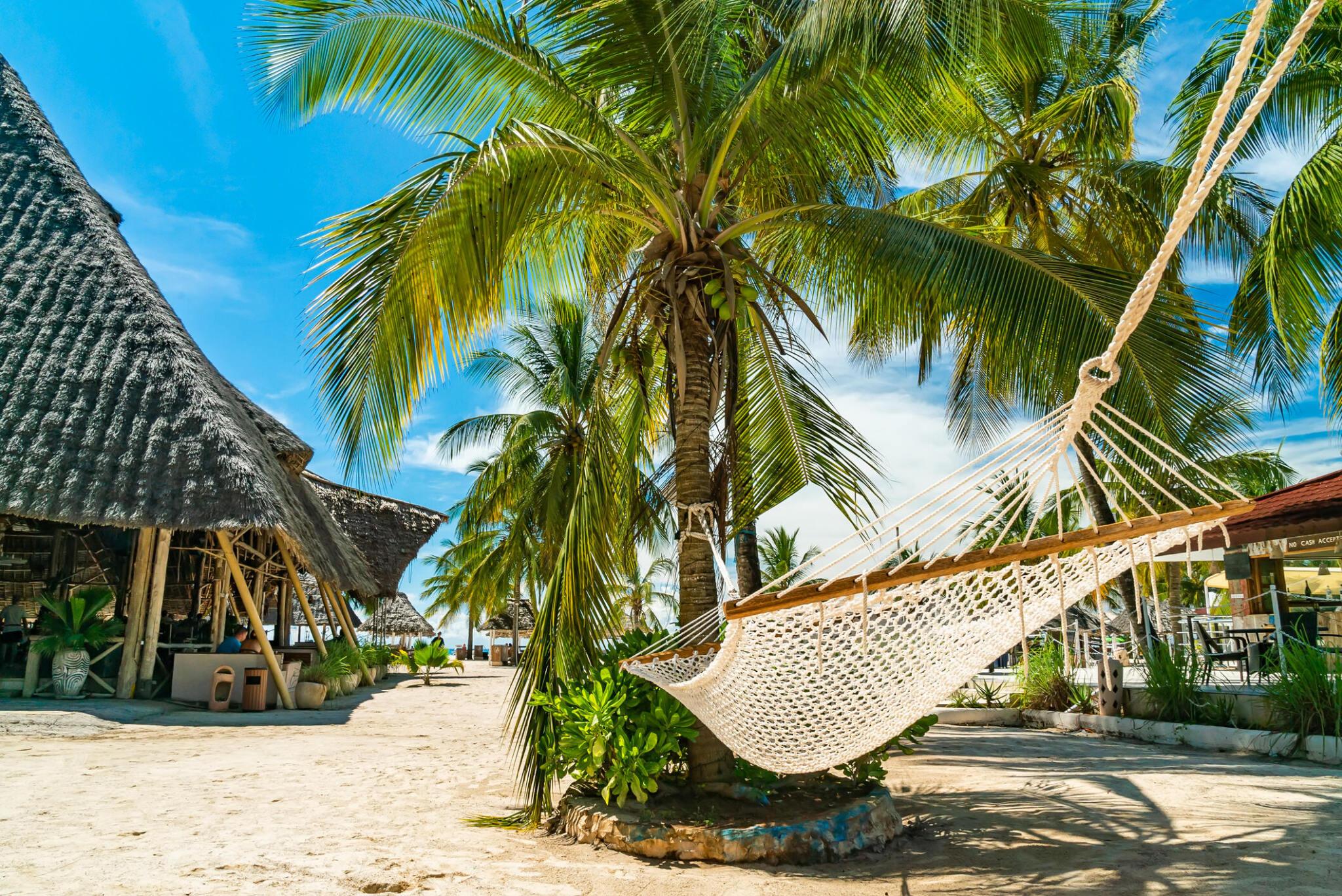 Zanzibar beach holiday guide by Entare Nature Explores