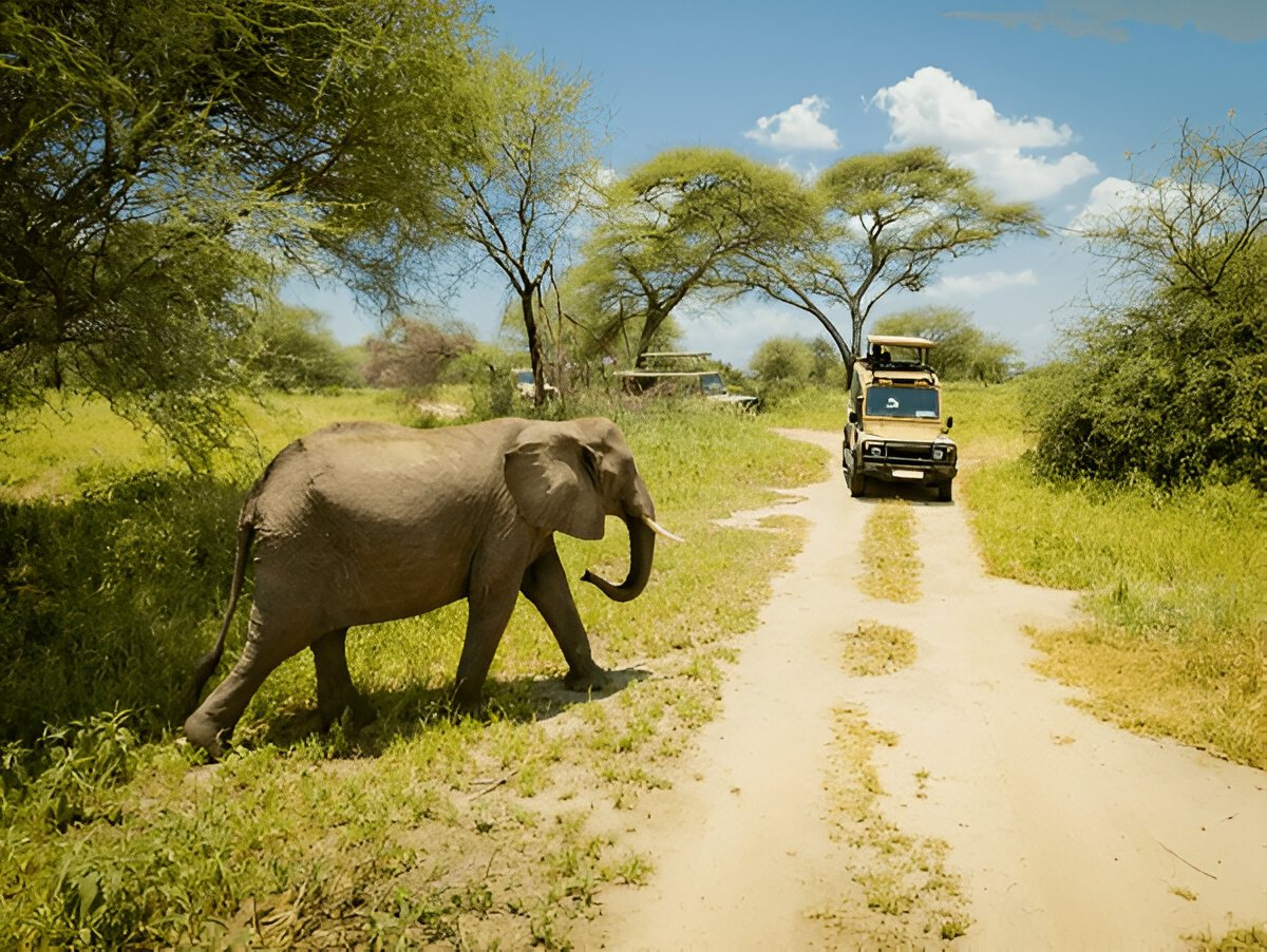Best 8 Day Tanzania Safari Holiday