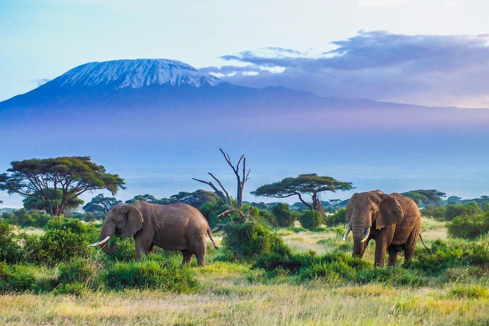 6 Days Marangu Route Kilimanjaro climbing tour