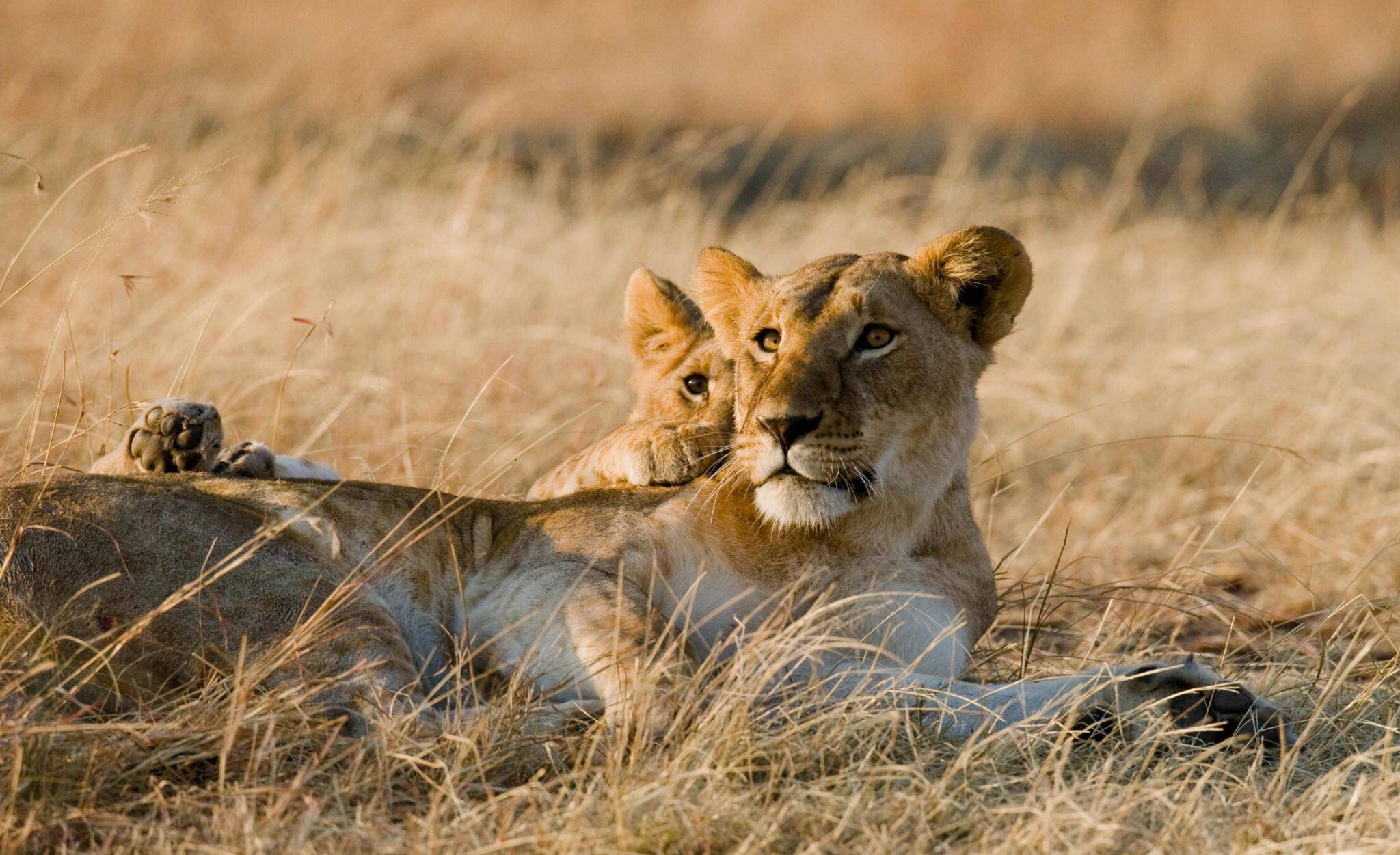 Visit Tanzania with Summerwinter Africa Adventures