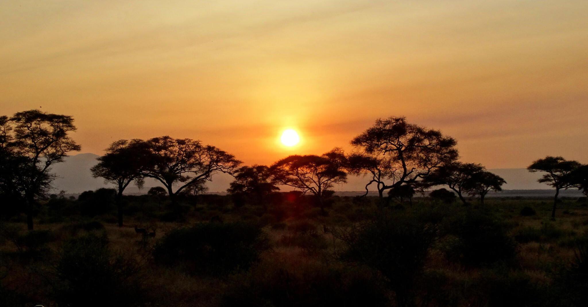 How Many Days Should I Spend in Serengeti National Park?