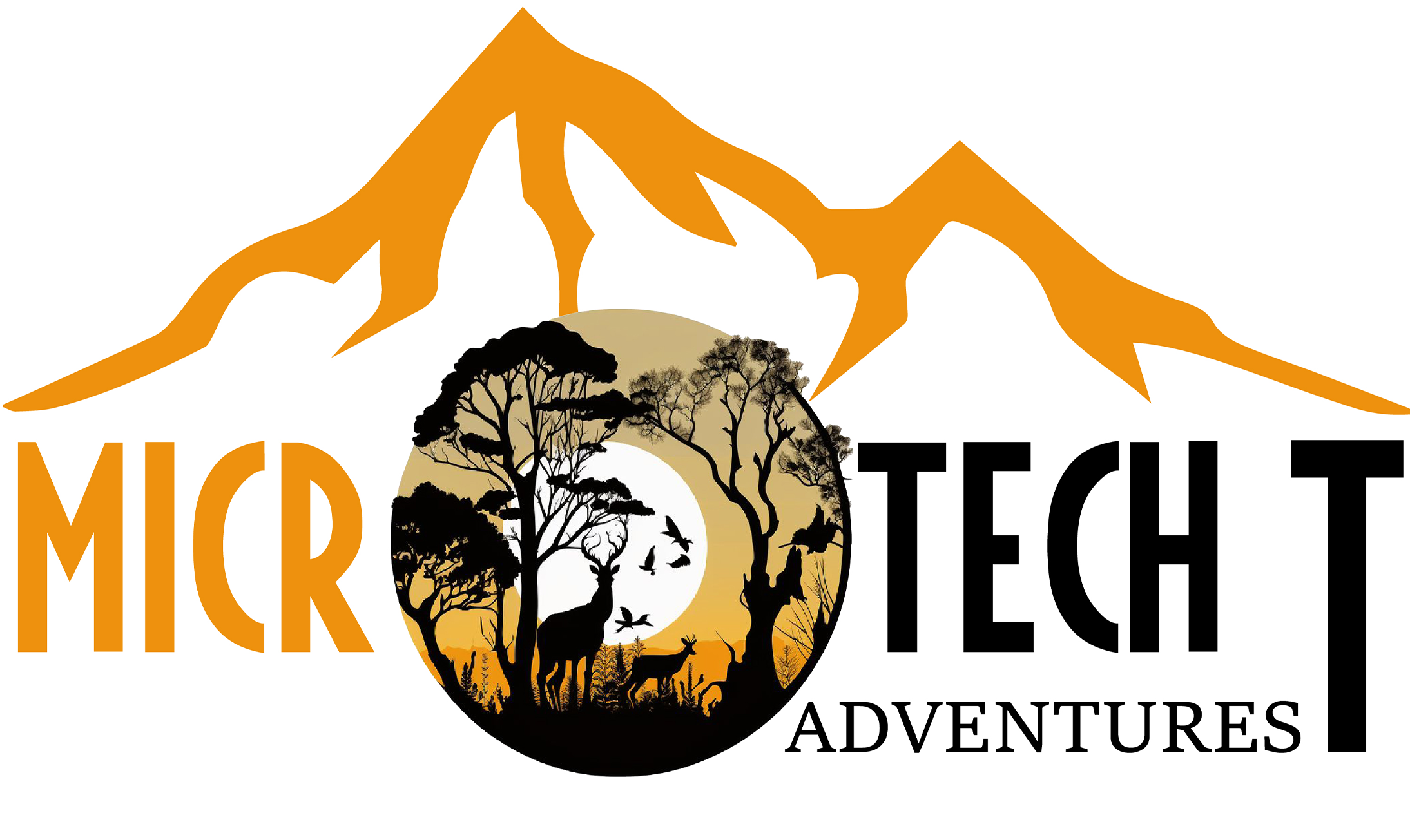 Micro Tech T Adventures – Best Kilimanjaro and Safaris Tour operator in Tanzania