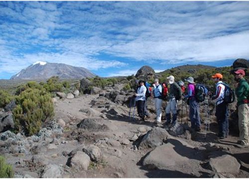 9 Days Mount Kilimanjaro Northern Circuit  route