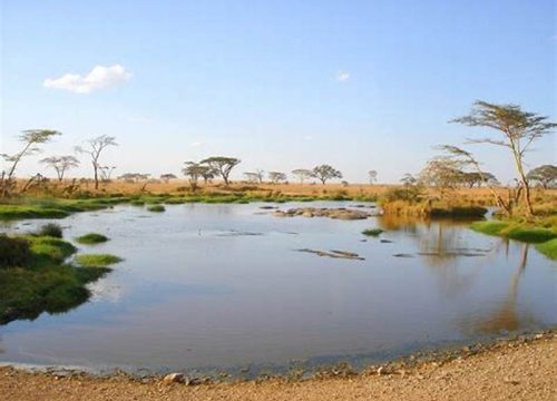 Lake Manyara national park