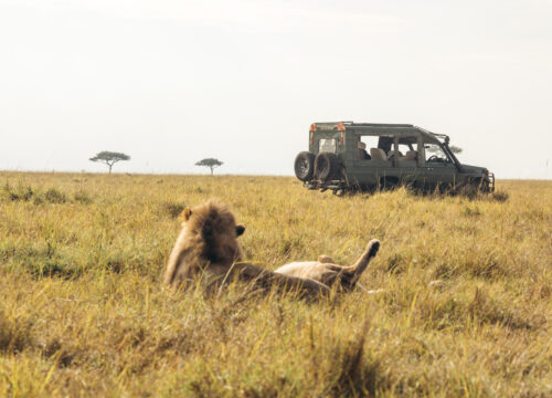 5-Day Tanzania Safari Adventure – Themi Africa Travel